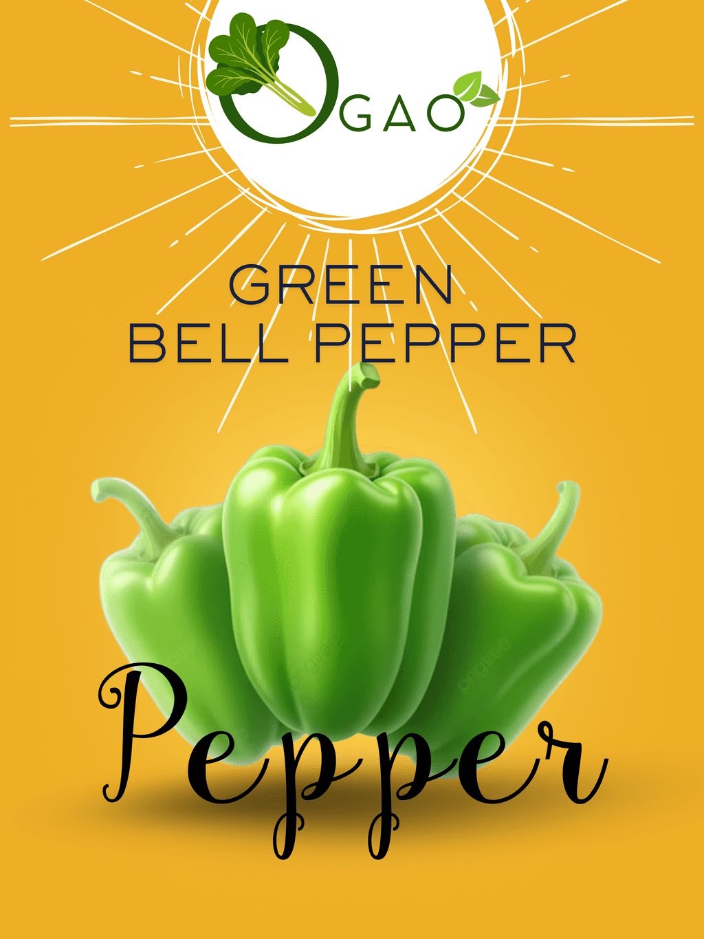 Green Bell Pepper  Seeds