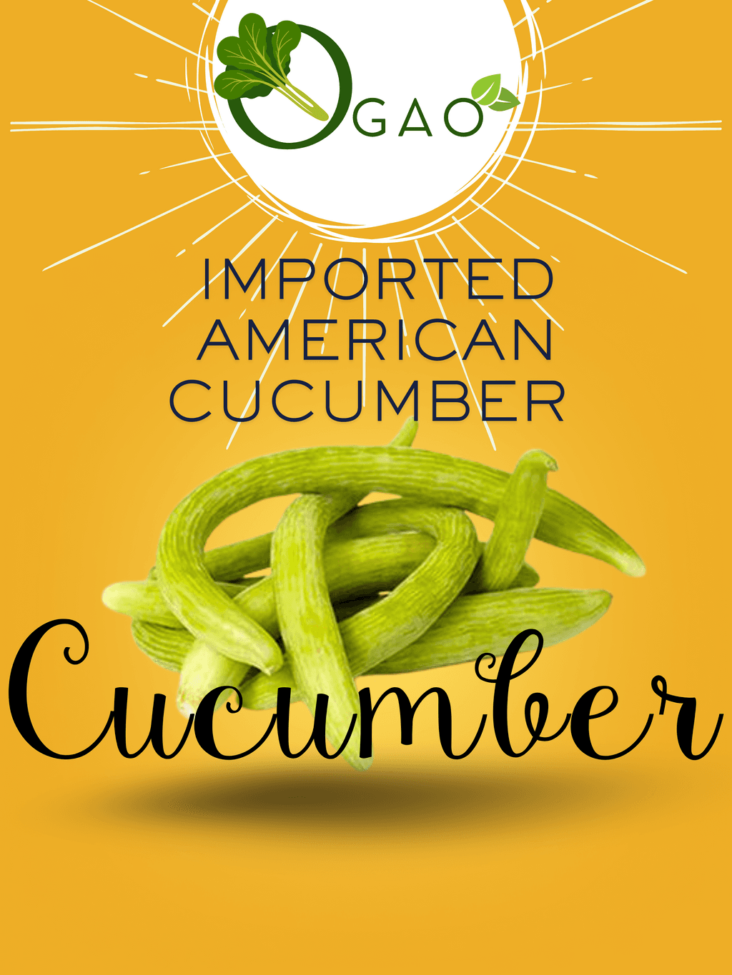 Imported American Cucumber Seeds