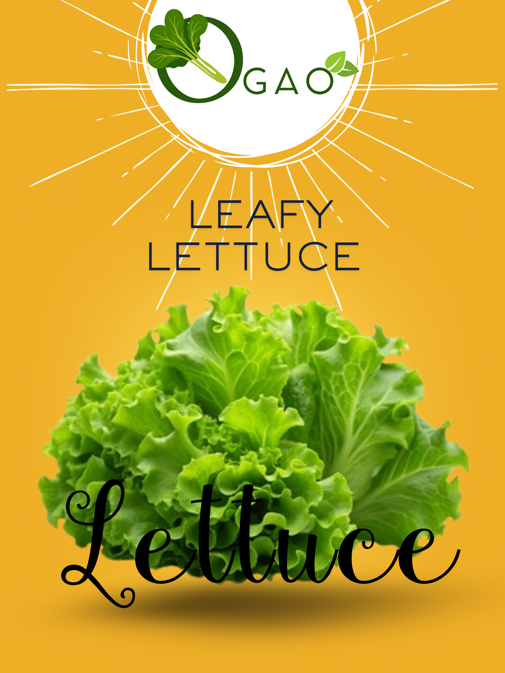 Leafy Lettuce Seeds