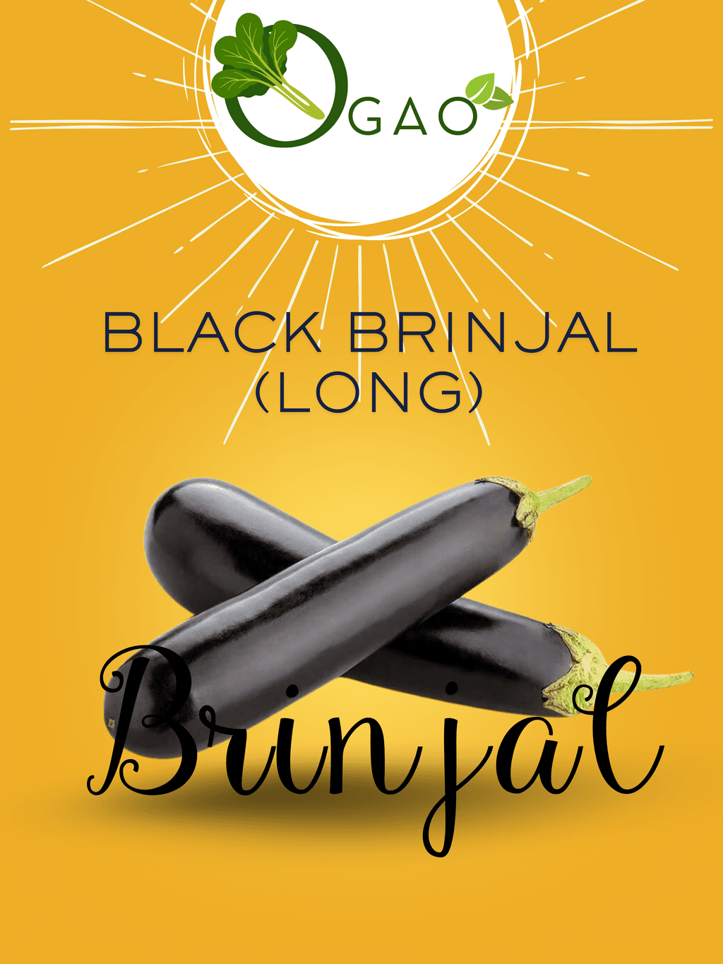 Black Brinjal (Long) Seeds