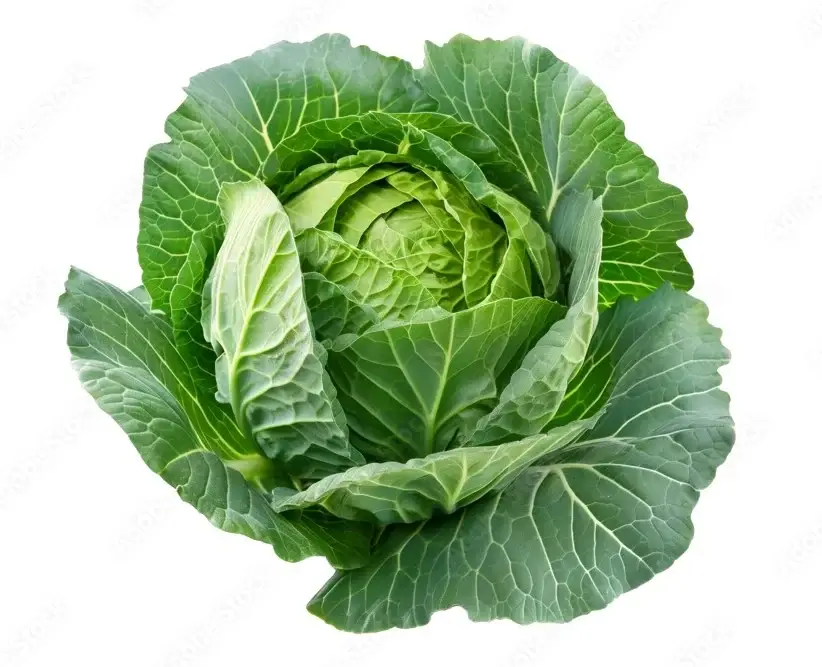 Cabbage Seeds