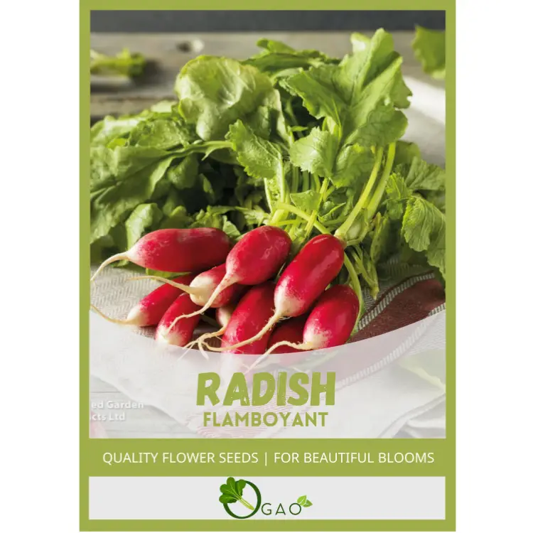 Radish Flamboyant Seeds
