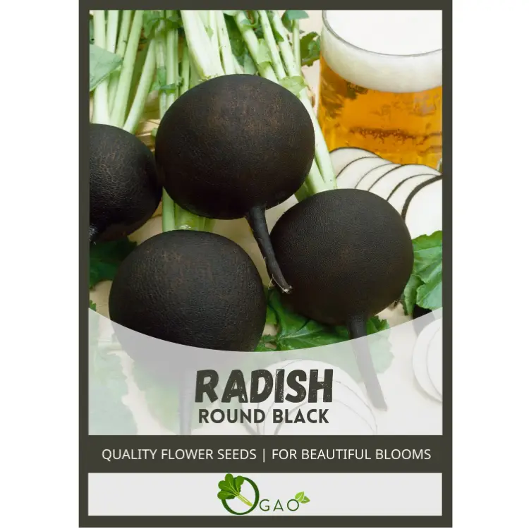 Radish Round Black Seeds