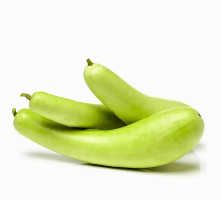 Bottle Gourd Long Seeds