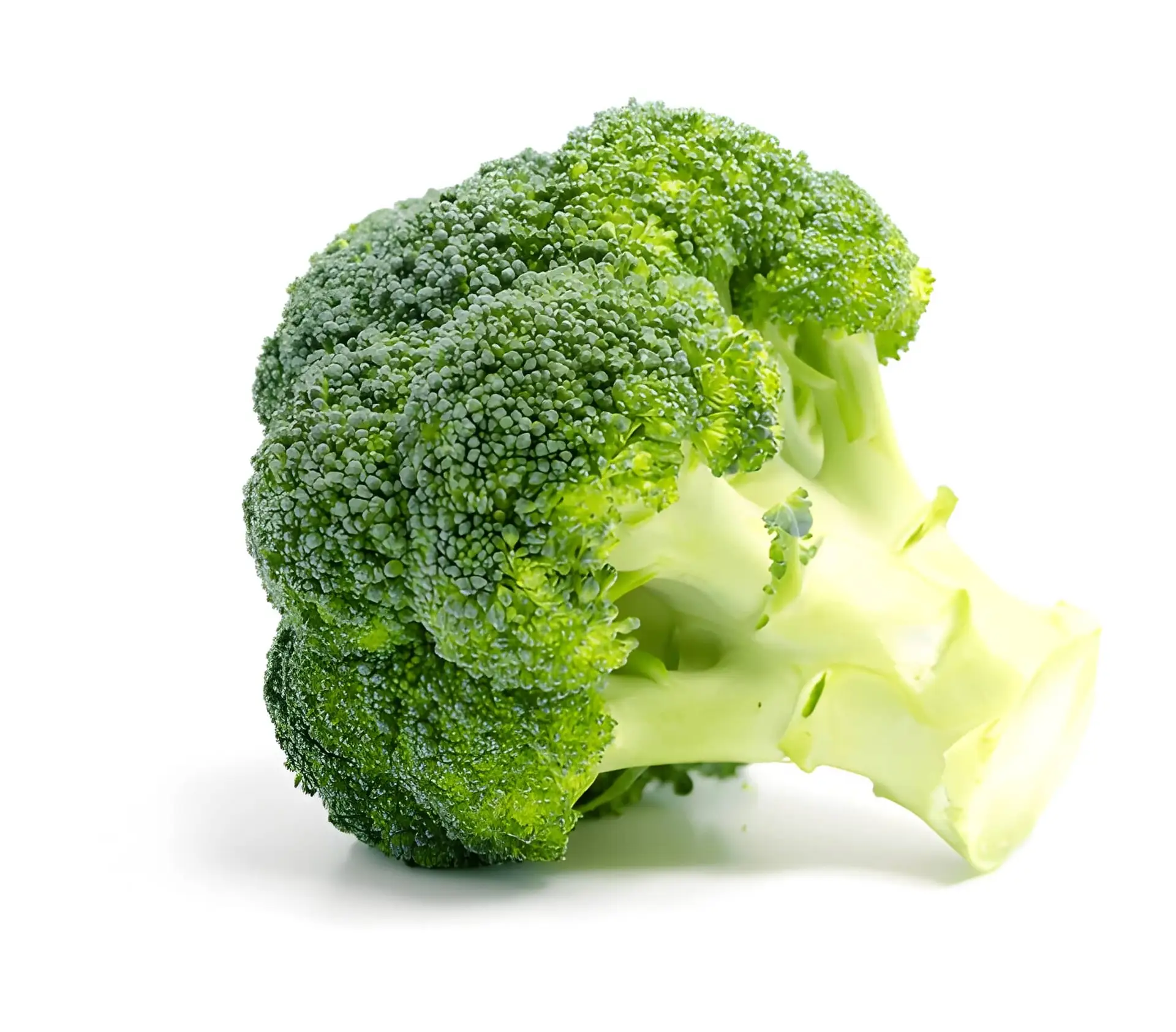 Broccoli seeds