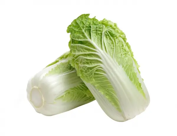 Chinese Cabbage Seeds