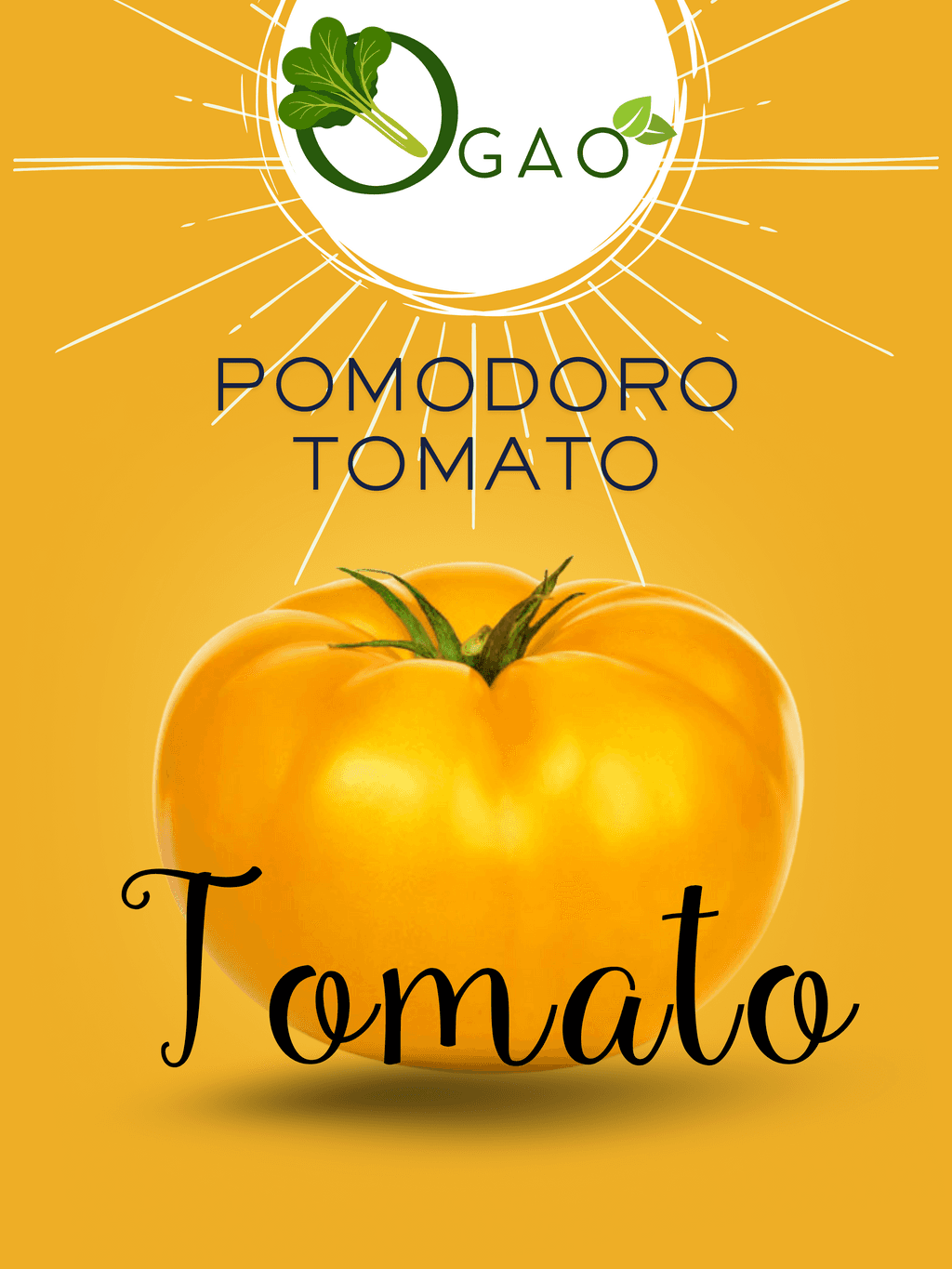 Pomodoro Tomato Seeds