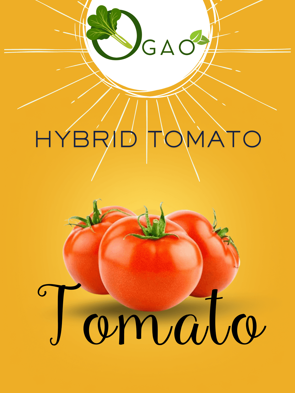 Hybrid Tomato Seeds