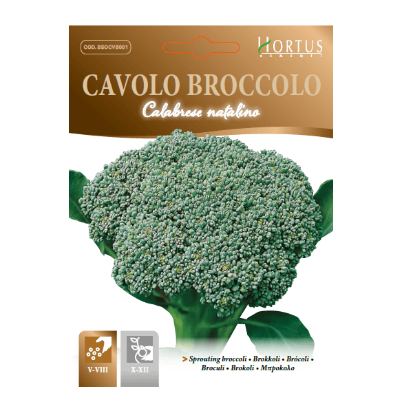 Hortus Broccoli seeds 20gm