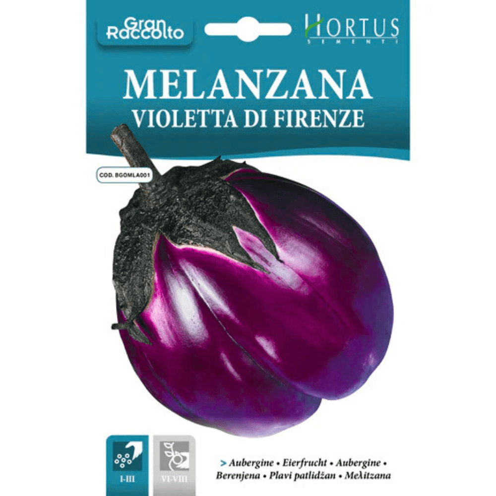 Hortus Violetta di Firenze Eggplant Seeds (Solanum melongena) 7gm
