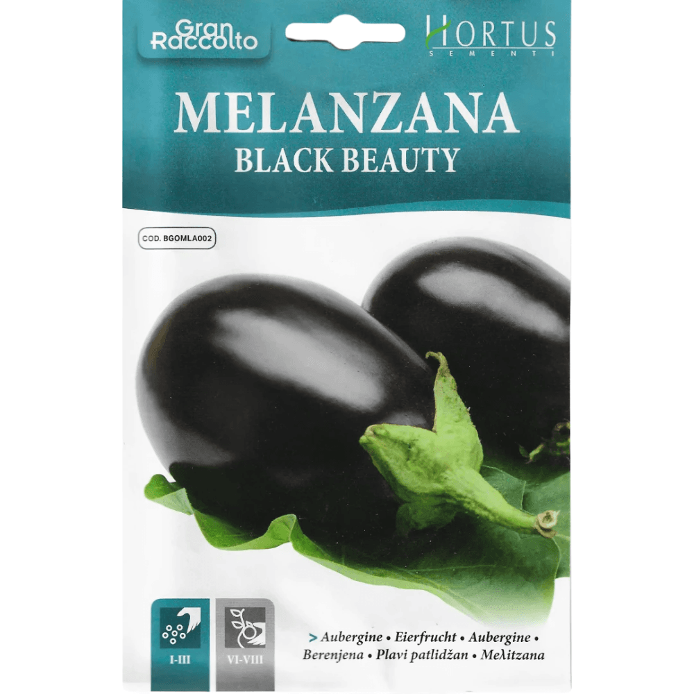 Hortus Black Beauty Eggplant Seeds (Solanum melongena 'Black Beauty') 7gm